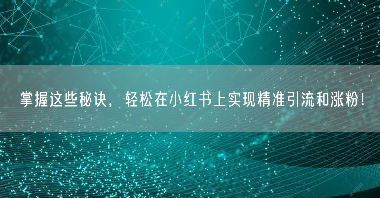 掌握这些秘诀，轻松在小红书上实现精准引流和涨粉！