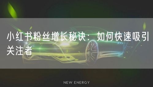 小红书粉丝增长秘诀：如何快速吸引关注者