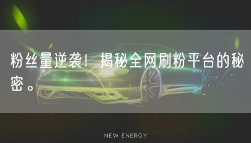 粉丝量逆袭！揭秘全网刷粉平台的秘密。