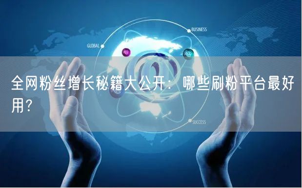 全网粉丝增长秘籍大公开：哪些刷粉平台最好用？