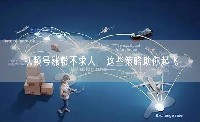 视频号涨粉不求人，这些策略助你起飞