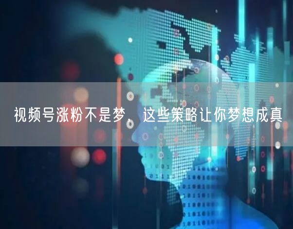 视频号涨粉不是梦，这些策略让你梦想成真