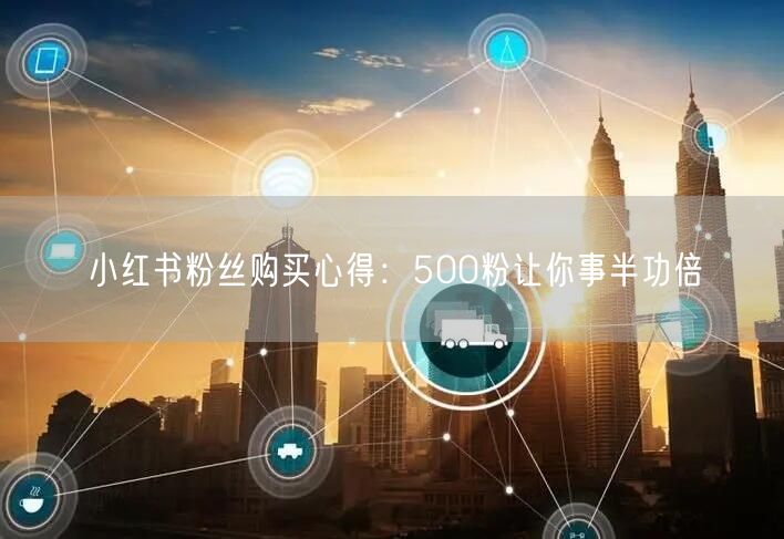 小红书粉丝购买心得：500粉让你事半功倍
