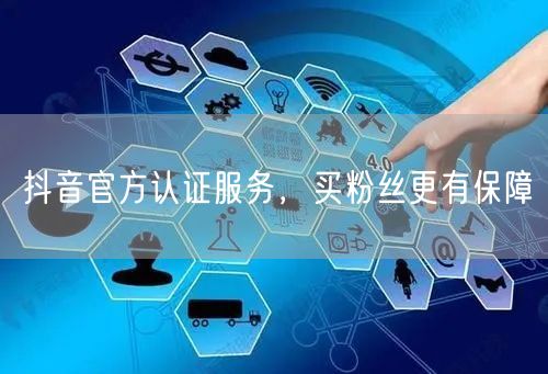 抖音官方认证服务，买粉丝更有保障