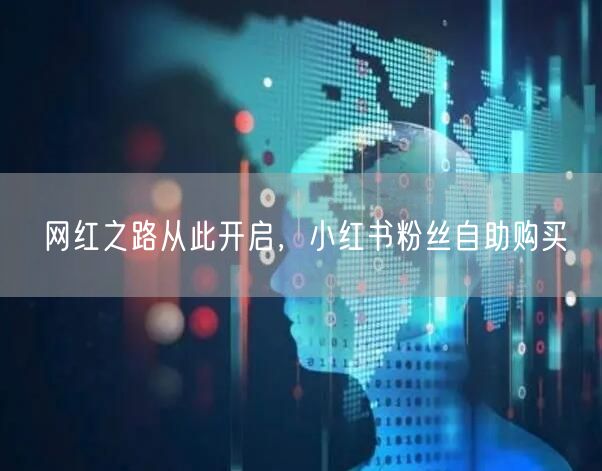 网红之路从此开启，小红书粉丝自助购买